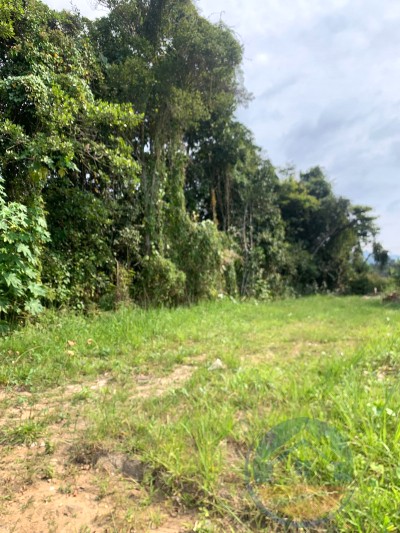 Terreno para venda em peruibe